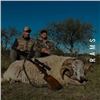 Image 5 : Argentina 2026/2027 Catena Safaris Big Game Hunt for 4 Hunters at Northern Patagonia