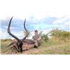 Image 4 : South Africa 10 Day/ 9 Night Plains Game Safaris for up to 4 Hunters in Limpopo Province