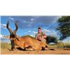 Image 6 : South Africa 10 Day/ 9 Night Plains Game Safaris for up to 4 Hunters in Limpopo Province
