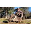 Image 7 : South Africa 10 Day/ 9 Night Plains Game Safaris for up to 4 Hunters in Limpopo Province