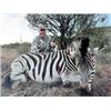 Image 1 : South Africa Plains Game Hunt, 6 days/5 nights for 2 Hunters