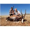 Image 4 : South Africa Plains Game Hunt, 6 days/5 nights for 2 Hunters
