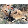 Image 2 : Spain Southeastern Ibex Hunt for 2 Hunters
