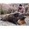 Image 2 : Argentina 7-Day Big Game Hunt for 2 Hunters