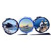 Image 2 : Sport Fishing Pkg in Cabo San Lucus, Mexico for up to 6 people for 5-day 4-nights