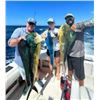 Image 4 : Sport Fishing Pkg in Cabo San Lucus, Mexico for up to 6 people for 5-day 4-nights
