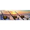 Image 5 : Sport Fishing Pkg in Cabo San Lucus, Mexico for up to 6 people for 5-day 4-nights