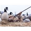 Image 3 : Waterfowl / Upland Combo Hunt at Heartland Lodge in Illinois