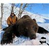 Image 1 : Alaska Snowmachine Brown Grizzly Bear Hunt