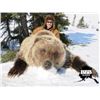 Image 3 : Alaska Snowmachine Brown Grizzly Bear Hunt