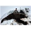 Image 4 : Alaska Snowmachine Brown Grizzly Bear Hunt
