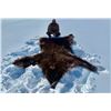 Image 7 : Alaska Snowmachine Brown Grizzly Bear Hunt