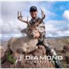 Image 3 : Coues Deer Hunt - 5 day hunt for 2 Hunters in Arizona (with free Mountain Lion Bonus