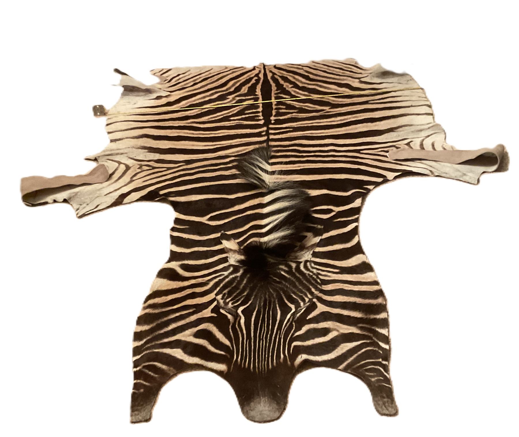 Burchell Zebra Rug