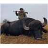 Image 2 : Water Buffalo Hunt in Argentina