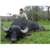 Image 3 : Water Buffalo Hunt in Argentina