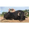 Image 5 : Water Buffalo Hunt in Argentina