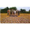 Image 6 : Argentina Dove & Pigeon Hunt Argentina Bird Hunts by HP Wingshooting Adventure – 3 Hunters