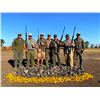 Image 8 : Argentina Dove & Pigeon Hunt Argentina Bird Hunts by HP Wingshooting Adventure – 3 Hunters