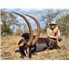 Image 6 : South Africa - Zeekoepan Safaris is offering a 2 Hunter, 2 Nayala, 4 Hunting Day Safari
