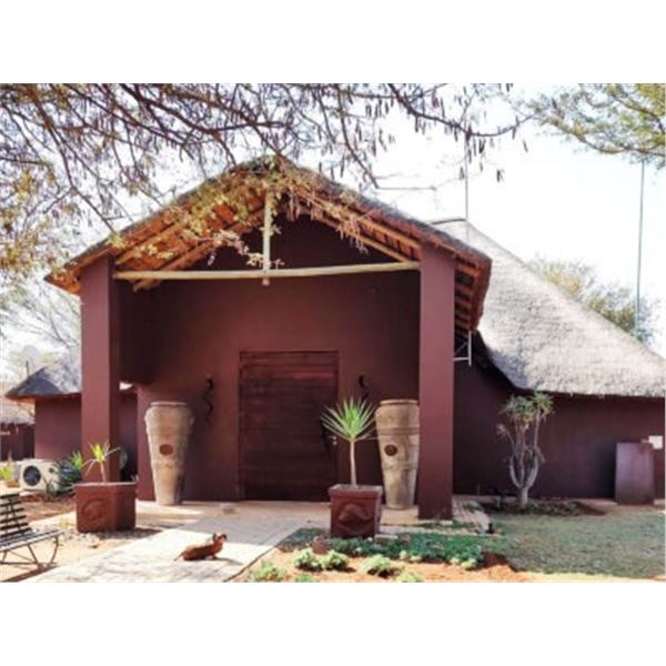 South Africa Cape Buffalo Cow for 2 hunters for 10 Days and 9 Nights