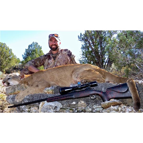 Mountain Lion Hunt