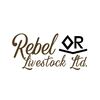 Image 1 : Rebel Livestock Ltd. - 11 Black MAX 2nd calvers
