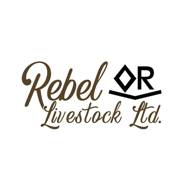 Rebel Livestock Ltd. - 5 Red MAX influence bred hfrs