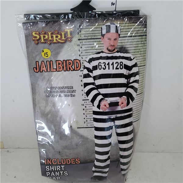 Adult Jailbird Hallowe'en Costume
