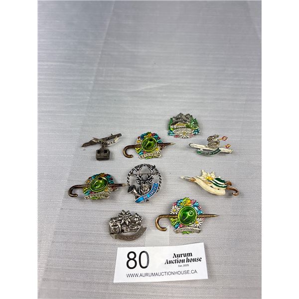 Lot of Alpine Pins