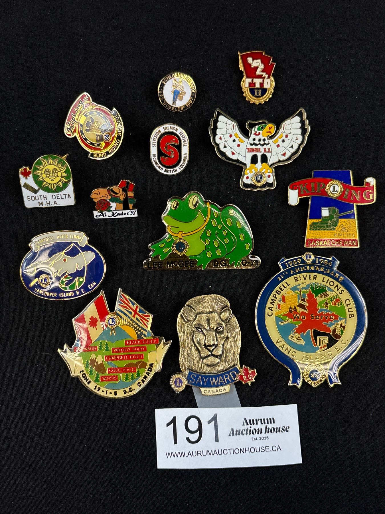 Collectable Lot of Enamel Collector Pins - Test Site
