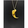 Image 2 : Vintage Resin Claw w/ Chain Necklace