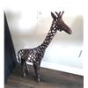 Image 1 : Giraffe A