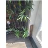 Image 3 : Faux Bamboo Plant A