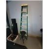 Image 1 : Step Ladder B