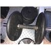 Image 4 : Free Weights B