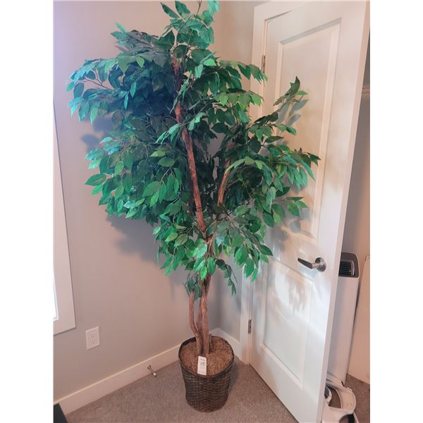 Faux Fig Tree B