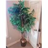 Image 1 : Faux Fig Tree B