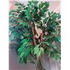 Image 4 : Faux Fig Tree B