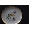 Image 8 : AUDUBON DESSERT PLATES (8 PCS)
