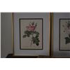 Image 2 : FRAMED BOTANICAL PRINTS (18" X 22") (2 PCS)