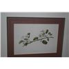 Image 3 : FRAMED BOTANICAL PRINTS, "UALA" & "POHUEHUE" (2 PCS)