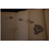 Image 8 : WILKES-UNITED STATES EXPLORING EXPEDITIONS, 5 VOL. (5 PCS)