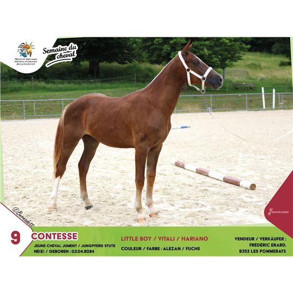 Test - Lot 4 CONTESSE