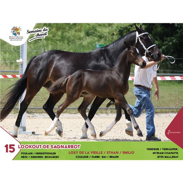 Test - Lot 8 LOOKOUT DE SAGNARBOT