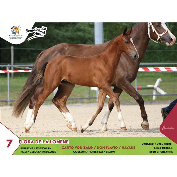 Test - Lot 10 FLORA DE LA LOMÈNE