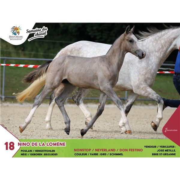 Test - Lot 11 NINO DE LA LOMÈNE