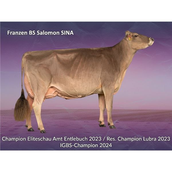 Test - Lot 12 Embryonenpaket Sina x Giovanni gesext