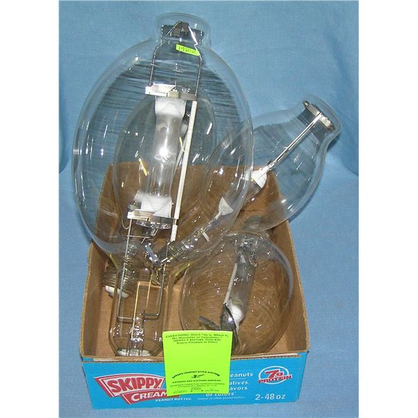 Group of vintage oversized light bulbs