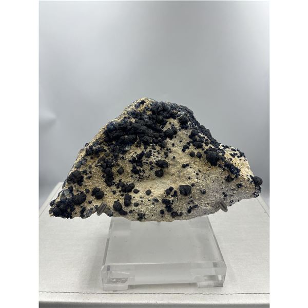 10 X 9 INCH BLUE BERRY  ON MATRIX ON STAND